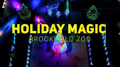 Experience the Mystical Magic of Broojfield Zopo Holiday